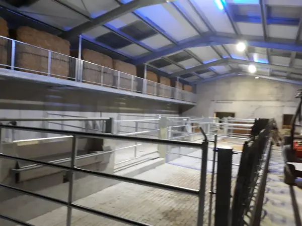 Struttura in acciaio con copertura metallica su edificio agricolo